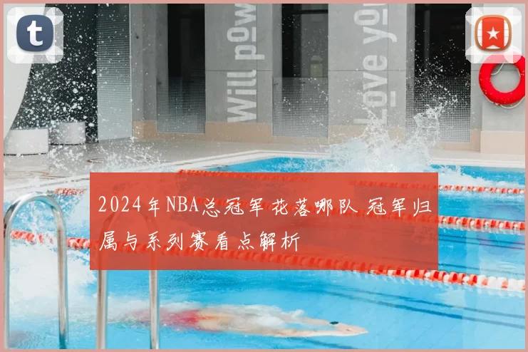 2024年NBA总冠军花落哪队 冠军归属与系列赛看点解析