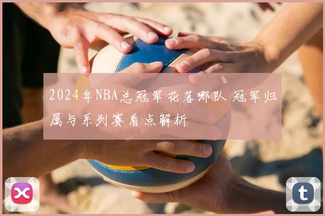2024年NBA总冠军花落哪队 冠军归属与系列赛看点解析