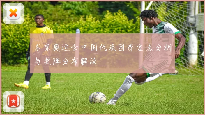 东京奥运会中国代表团夺金点分析与奖牌分布解读