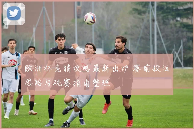 欧洲杯竞猜攻略最新出炉 赛前投注思路与观赛指南整理