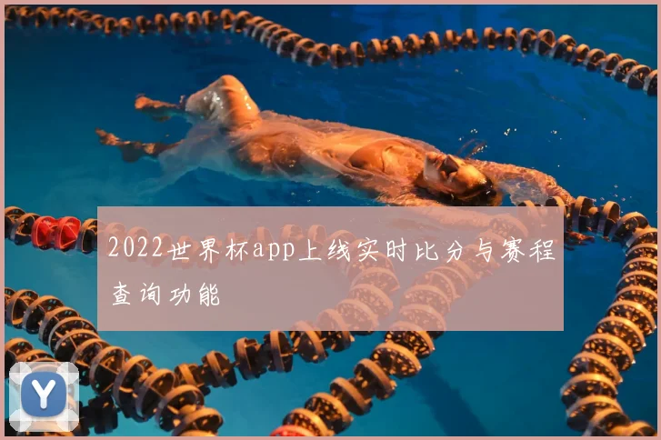 2022世界杯app上线实时比分与赛程查询功能