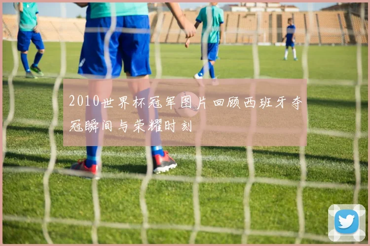 2010世界杯冠军图片回顾西班牙夺冠瞬间与荣耀时刻
