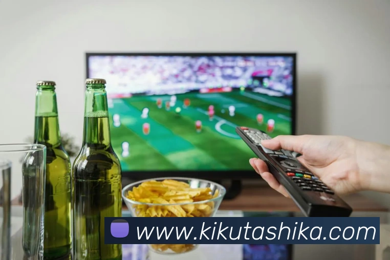 欧洲杯买球的网站平台生态图